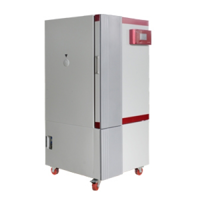 BEING BHM-60P 藥品穩(wěn)定性試驗箱 恒溫恒濕器 ENVIRONMENTAL CHAMBER CC-4109-01  亞速旺廣州藤野優(yōu)勢供應(yīng)